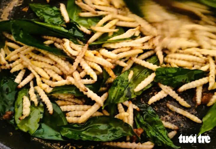 Đi săn sâu măng, món ăn độc đáo giá 250-300 ngàn/kg nhưng không dễ mua - Ảnh 7.