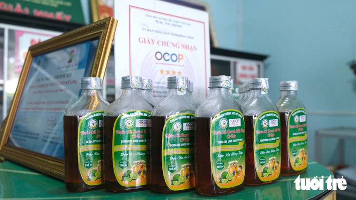 Chanh không hạt của nông dân Đồng Tháp đi Châu Âu hàng trăm tấn mỗi năm   - Ảnh 4.