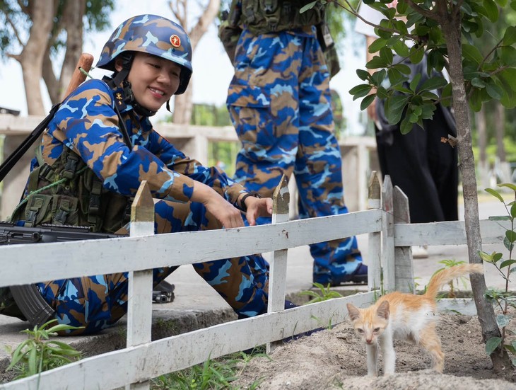 Bé mèo trong 'Sao nhập ngũ' đổi đời nhờ Văn Mai Hương - Ảnh 1.