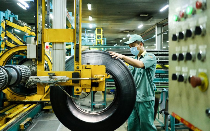 Vì sao Công an Đà Nẵng khởi tố Tổng giám đốc Công ty Cao su Đà Nẵng? - Ảnh 3.