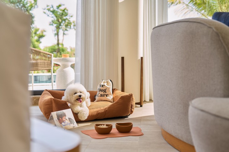 Thêm lựa chọn nghỉ dưỡng chuẩn quốc tế tại Bãi Dài với Meliá Serenity Cam Ranh - Ảnh 3.