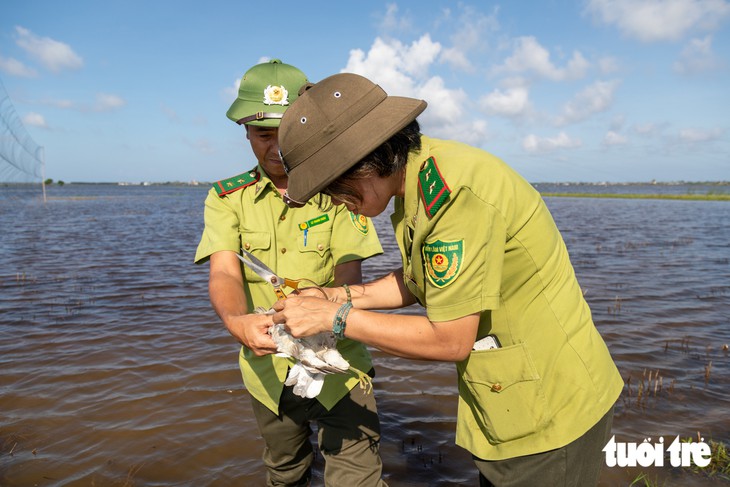 Bạn đọc đề nghị xử lý nghiêm, đề xuất phạt hình sự nạn săn bắt, buôn bán chim trời - Ảnh 3.