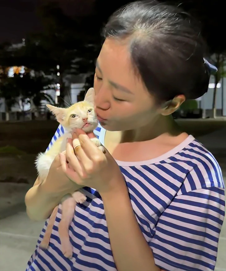 Bé mèo trong 'Sao nhập ngũ' đổi đời nhờ Văn Mai Hương - Ảnh 3.
