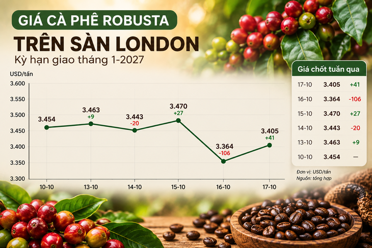 Robusta trong tuần: Giá nội địa quanh 92.500 đồng/kg, nông dân giữ cà phê như tài sản - Ảnh 2.