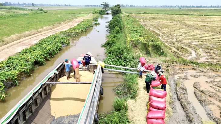 Những câu chuyện hay từ bạn đọc về văn hóa miền Tây trong bài viết về miền Tây ăn giỗ - Ảnh 3.