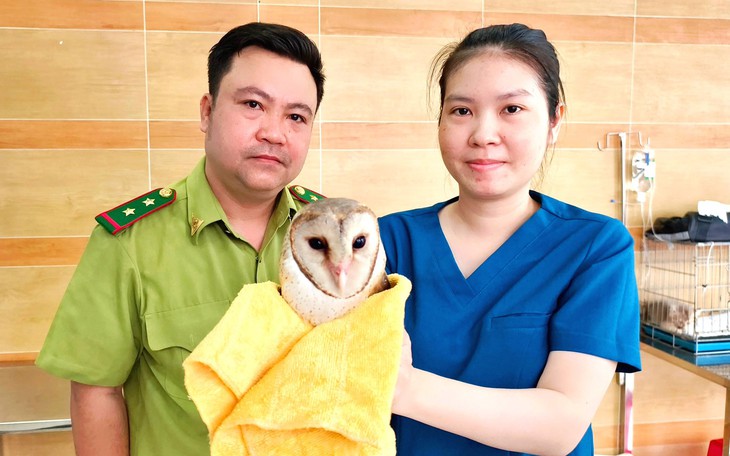 Liên tiếp phát hiện nhiều vụ mua bán trái phép động vật hoang dã, công an ra khuyến cáo - Ảnh 2.