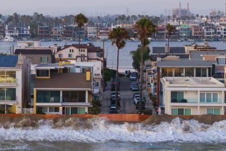 El Niño đưa rắn biển độc, cá nhiệt đới đến bờ biển California - Ảnh 1.
