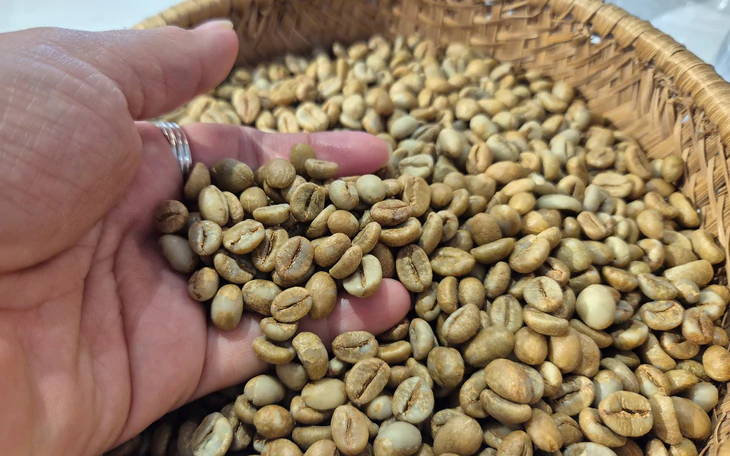 Robusta trong tuần: Giá nội địa mất mốc 90.000 đồng/kg, nông dân ít bán sớm - Ảnh 4.