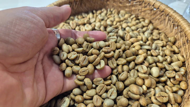 Robusta trong tuần: Giá nội địa quanh 92.500 đồng/kg, nông dân giữ cà phê như tài sản - Ảnh 1.