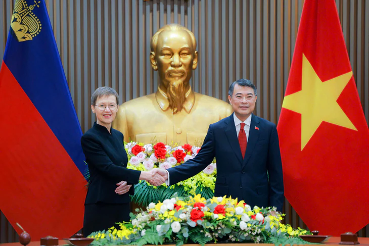 Việt Nam - Liechtenstein chia sẻ kinh nghiệm về quỹ đầu tư, hoạt động ngân hàng, tài chính xanh - Ảnh 1.