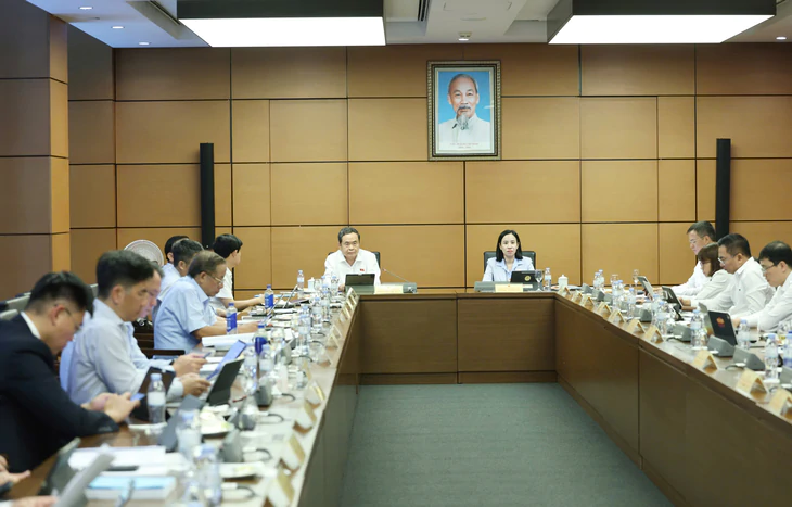 Chủ tịch Quốc hội: Chế tài đủ mạnh để chống tình trạng bỏ cọc, thông đồng, dìm giá trong đấu giá tài sản - Ảnh 1.