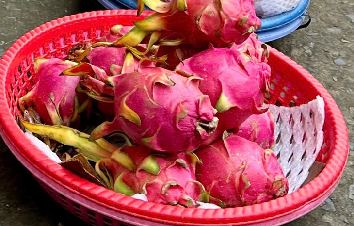 Giá cả đầu ngày: Hoa hồng tăng gấp đôi trước ngày 20-10, thanh long miền Tây phục hồi sau thời gian chạm đáy, giá dê hơi cũng đi lên - Ảnh 5.