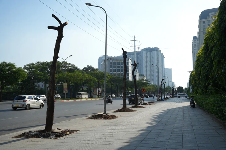 Chặt hạ cây xanh, xén vỉa hè để xây hầm chui Mễ Trì - Dương Đình Nghệ xuyên qua vành đai 3 - Ảnh 1.
