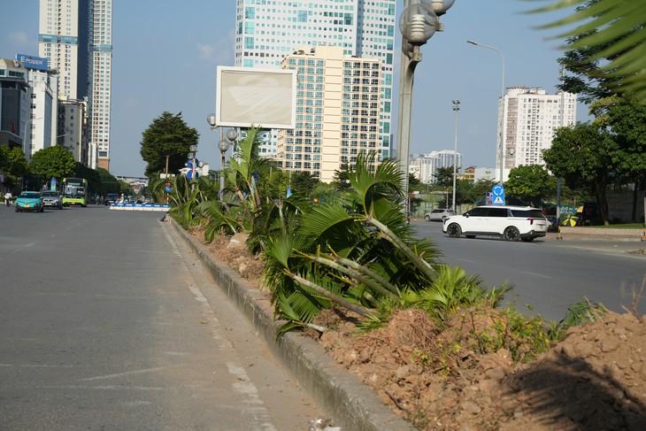 Chặt hạ cây xanh, xén vỉa hè để xây hầm chui Mễ Trì - Dương Đình Nghệ xuyên qua vành đai 3 - Ảnh 3.