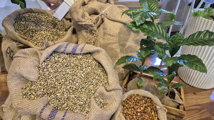 Nâng tầm Robusta Việt: Gu ngon đúng vị làm người ta mua - Ảnh 1.