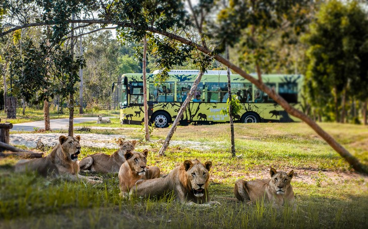 Nắm giữ 'kỷ lục kép' thế giới - Vinpearl Safari Phú Quốc quy mô cỡ nào? - Ảnh 7.
