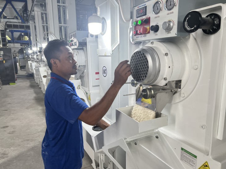 Doanh nghiệp xuất khẩu gạo được giảm điều kiện, bỏ lệ phí, rút thời gian cấp giấy - Ảnh 3.