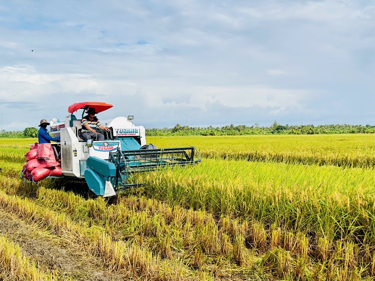 Doanh nghiệp xuất khẩu gạo được giảm điều kiện, bỏ lệ phí, rút thời gian cấp giấy - Ảnh 4.