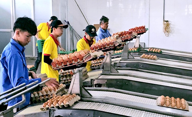 Ba Huân vướng nợ nần: Gia đình bà Ba Huân nói 'đã bán hết cổ phần, không liên quan các khoản nợ' - Ảnh 2.