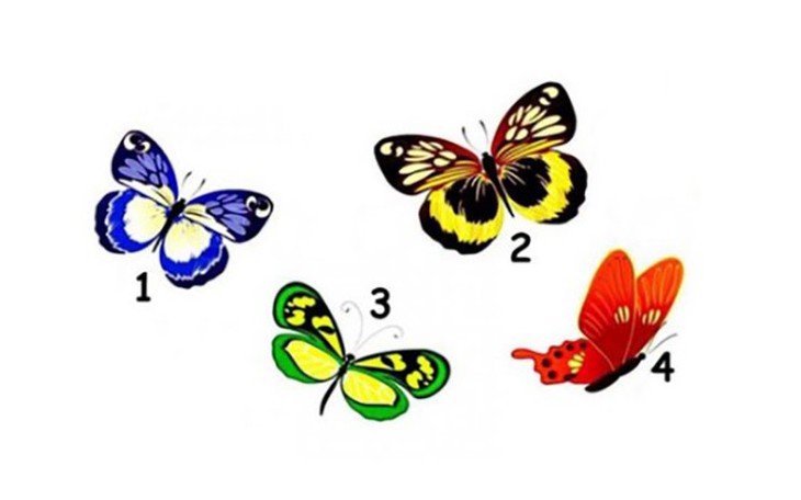 Quiz: Điều gì khiến bạn bất an? - Ảnh 2.