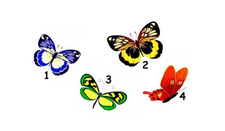 Quiz: Điều gì thu hút tâm hồn bạn nhất? - Ảnh 1.