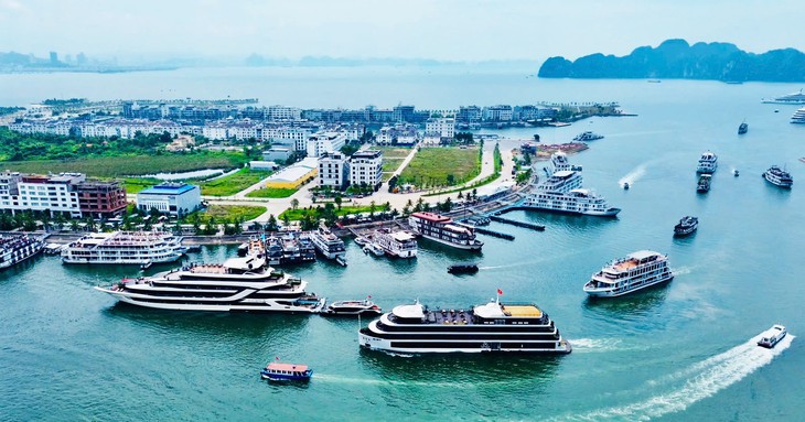 Quảng Ninh phát động chiến dịch thi đua 90 ngày đêm tăng trưởng vượt bậc năm 2026 - Ảnh 3.