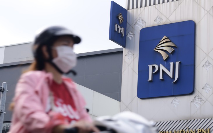 Gia đình Chủ tịch Cao Thị Ngọc Dung còn nắm bao nhiêu cổ phần PNJ sau biến động kim cương? - Ảnh 2.