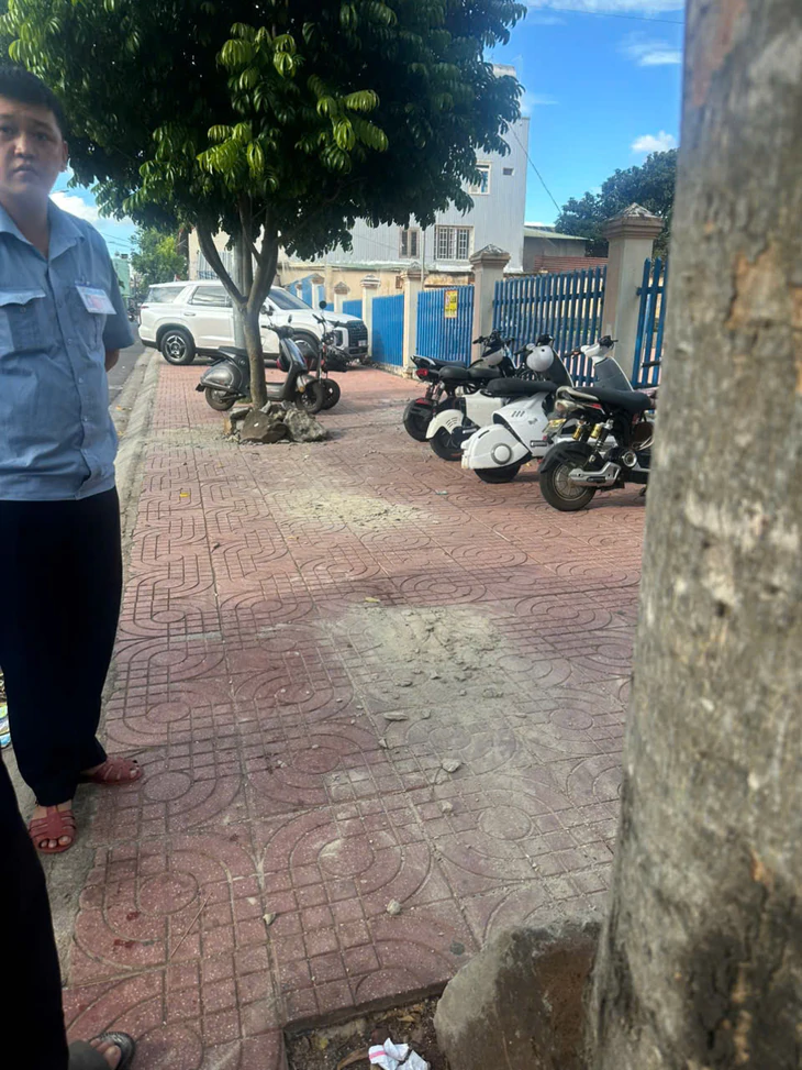 Hơn chục tảng đá được trát vữa cố định 'thù lù' trên vỉa hè trước trường - Ảnh 7.