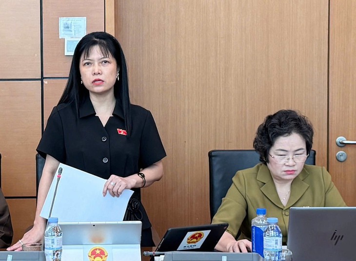 Chủ tịch Quốc hội: Minh bạch độ chính xác công tơ điện vì người dân chỉ nhận hóa đơn không có điều kiện kiểm soát - Ảnh 3.