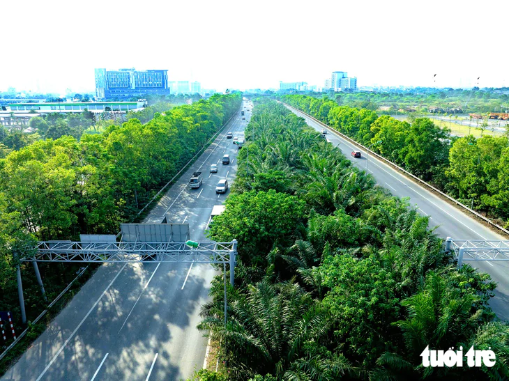Hà Nội cấm trồng cây trứng cá, cao su, bồ kết và 15 loại cây khác tại nơi công cộng - Ảnh 2.