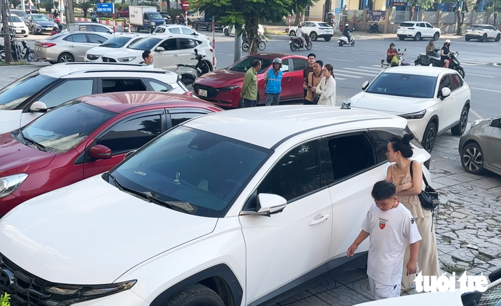 Bắt nhóm nghi phạm đập vỡ kính hàng loạt ô tô ở Nghệ An - Ảnh 1.