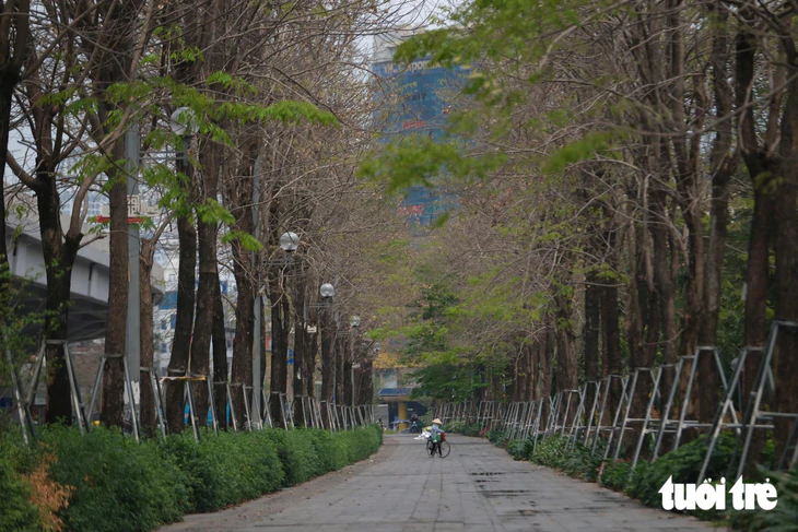 Hà Nội định hướng trồng cây xanh Theo từng tuyến phố , chuyên gia góp ý gì? - Ảnh 3.