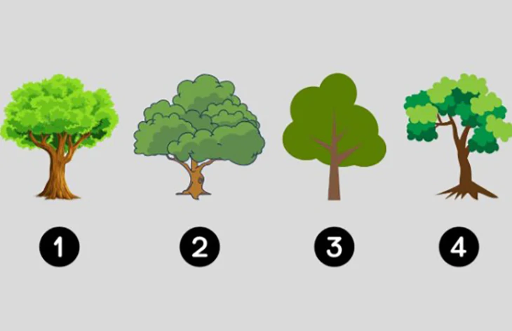 Quiz: Tính cách nào khiến bạn trở nên nổi bật? - Ảnh 1.