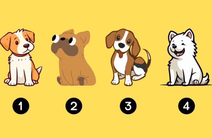 Quiz: Điều may mắn nào đang chờ đợi bạn ở phía trước? - Ảnh 1.
