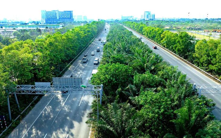 Hà Nội định hướng trồng cây xanh Theo từng tuyến phố , chuyên gia góp ý gì? - Ảnh 4.