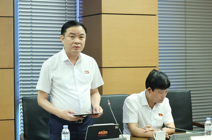 Điện mặt trời mái nhà công suất trên 1MW cũng phải làm thủ tục, đại biểu đề xuất tháo gỡ - Ảnh 2.