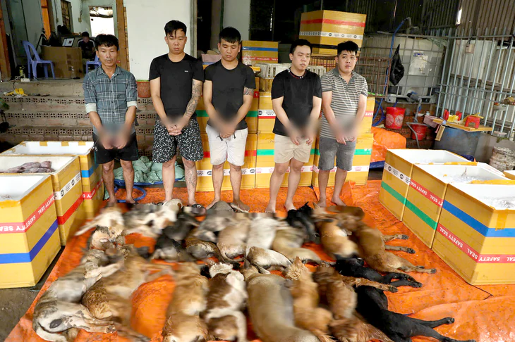 Dân phản ánh mất chó, công an phát hiện căn nhà quây kín, bắt nhóm trộm chó chuyên nghiệp - Ảnh 2.