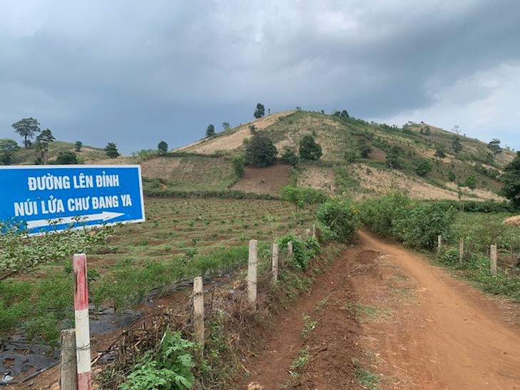 Có hẹn với Chư Đăng Ya, hoa vàng trên đất đỏ bazan - Ảnh 3.