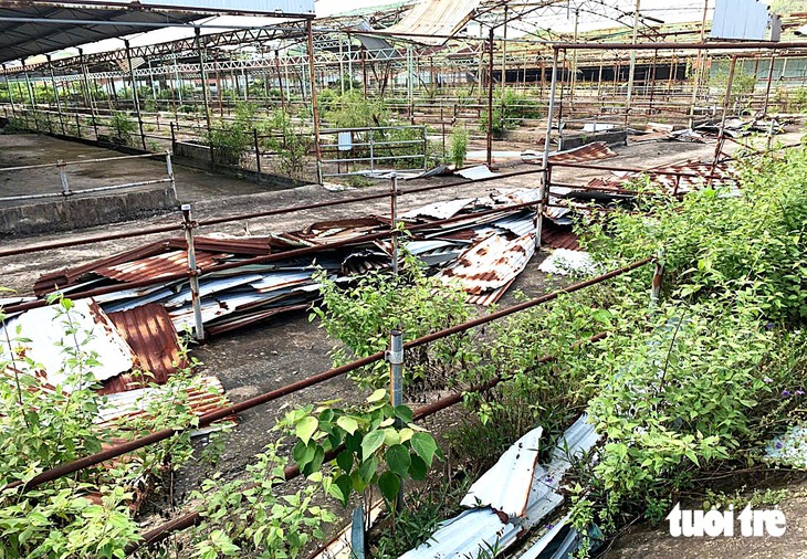 Nhiều tài sản tại dự án trại bò ngàn tỉ được đưa ra đấu giá - Ảnh 3.
