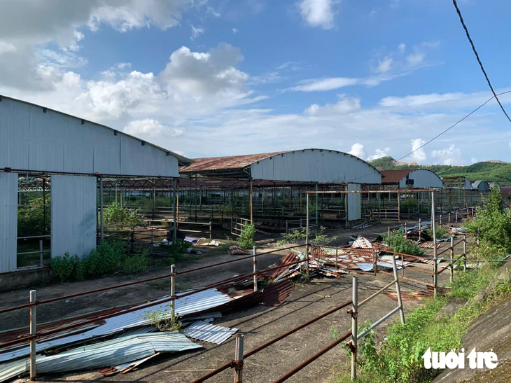 Nhiều tài sản tại dự án trại bò ngàn tỉ được đưa ra đấu giá - Ảnh 5.