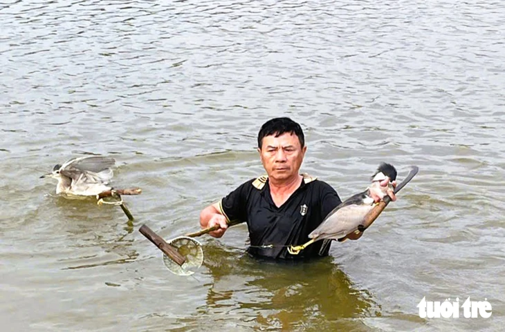 Thanh Hóa xử lý nạn đặt bẫy, giăng lưới bắt chim trời - Ảnh 1.