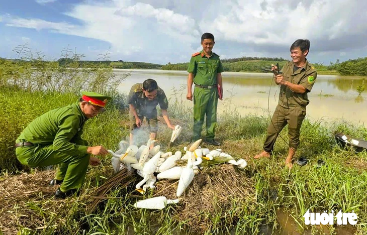 Thanh Hóa xử lý nạn đặt bẫy, giăng lưới bắt chim trời - Ảnh 2.