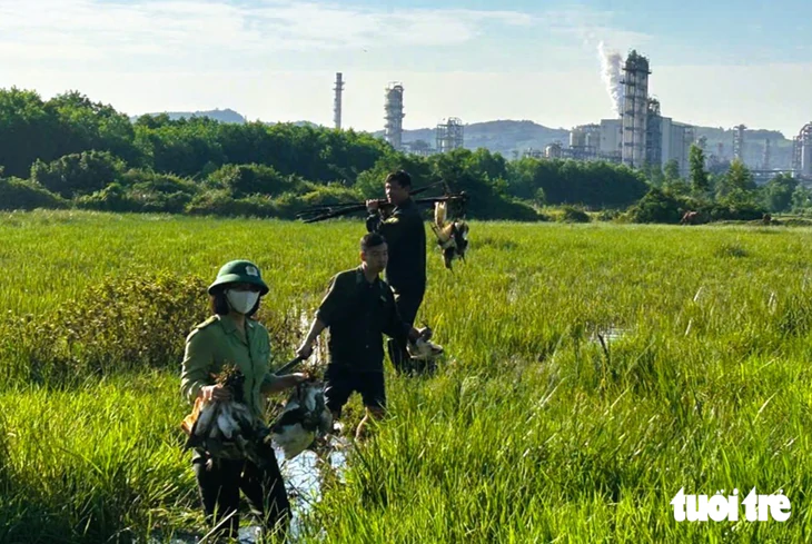 Thanh Hóa xử lý nạn đặt bẫy, giăng lưới bắt chim trời - Ảnh 3.