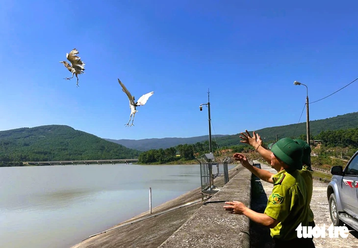 Thanh Hóa xử lý nạn đặt bẫy, giăng lưới bắt chim trời - Ảnh 10.