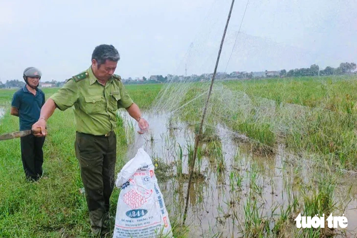 Thanh Hóa xử lý nạn đặt bẫy, giăng lưới bắt chim trời - Ảnh 5.