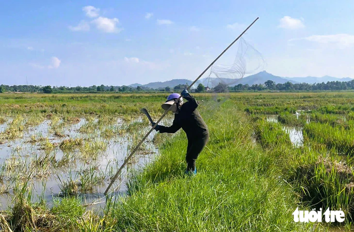 Thanh Hóa xử lý nạn đặt bẫy, giăng lưới bắt chim trời - Ảnh 7.