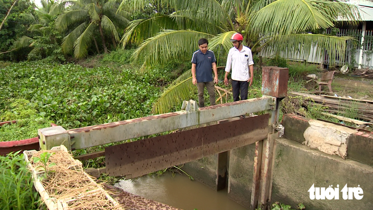 Vì sao hơn 32ha vườn cây, hoa màu của người dân ở Vĩnh Long bất ngờ chìm trong biển nước? - Ảnh 6.