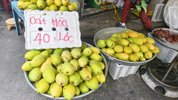 Giá cả đầu ngày: Xoài cát Hòa Lộc giá đã 'dễ thở' hơn còn 40.000 đồng/kg, cam xoàn đắt gấp 3 lần cam sành - Ảnh 1.