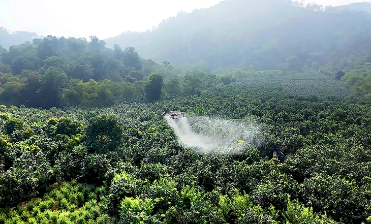 Dùng UAV hỗ trợ nông dân trên cánh đồng Điện Biên - Ảnh 2.