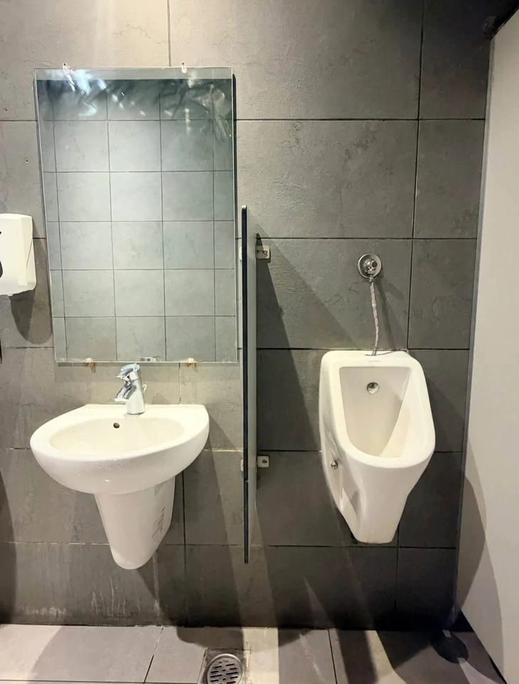  - Ảnh 5.